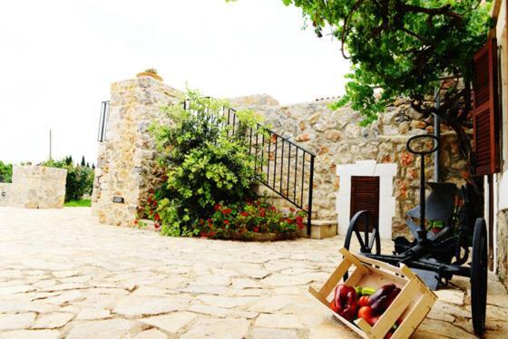 Holiday Home Finca Son Ramon Llubi Exterior photo